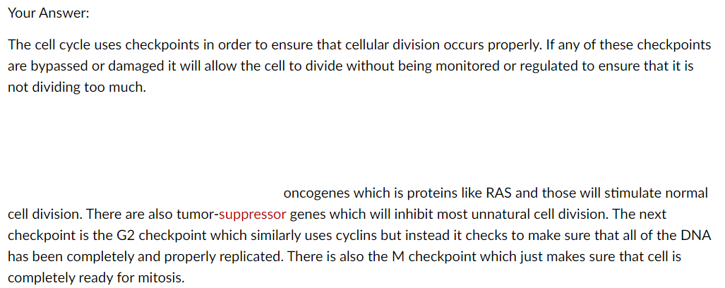 Canvas essay answer with invisible parts.png Canvas essay answer with invisible parts.png